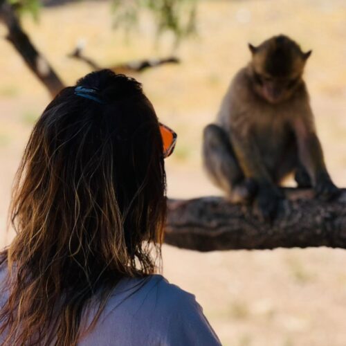 Day hike in the Atlas Mountains Morocco