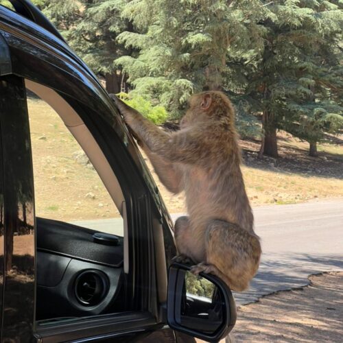 Day hike in the Atlas Mountains Morocco
