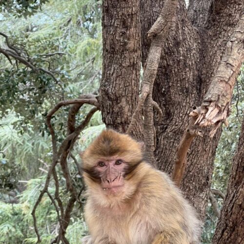 Day hike in the Atlas Mountains Morocco
