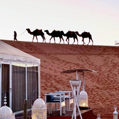 e049b81b-a08e-4651-8eb2-5a0aaffe6cd2