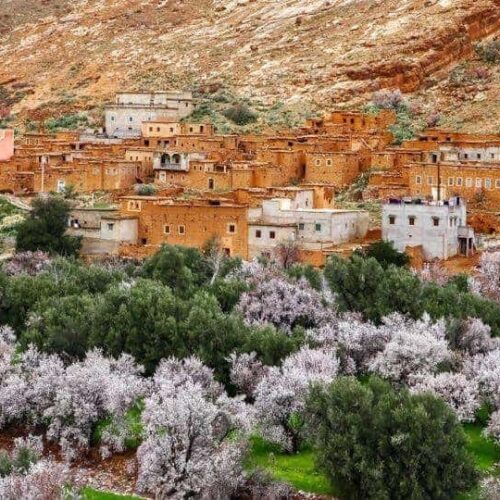 valley of roses morocco