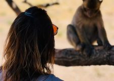 Day hike in the Atlas Mountains Morocco