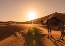 Sahara Trek from Marrakech | morocco sahara