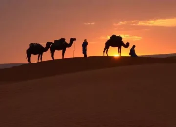 Sahara Desert Tour from Marrakech | morocco sahara