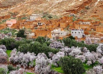 valley of roses morocco