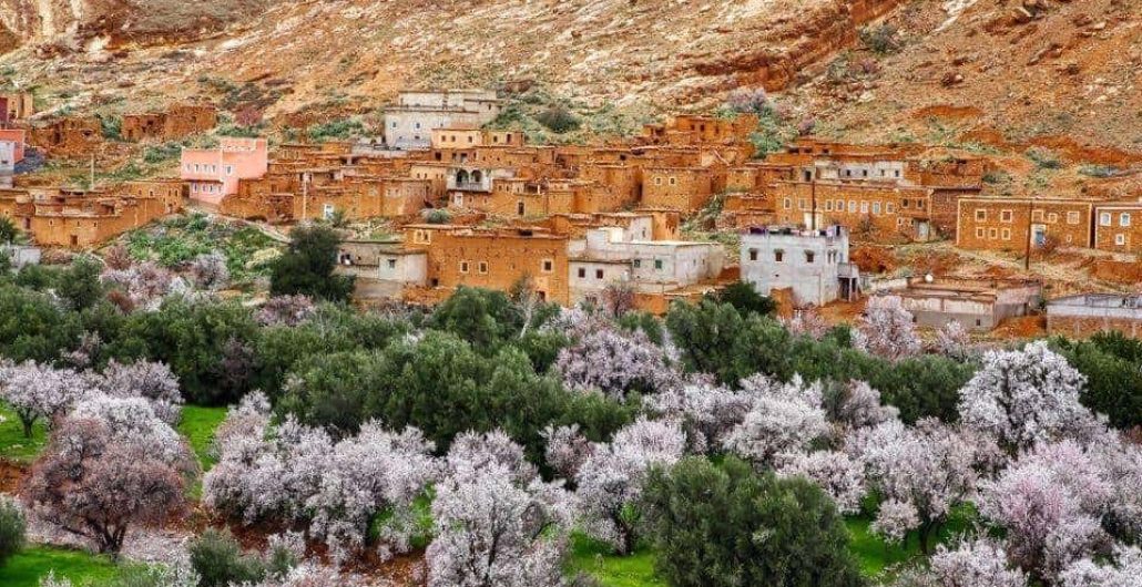 valley of roses morocco