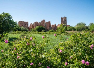 valley of roses morocco