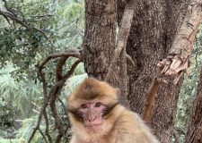 Day hike in the Atlas Mountains Morocco